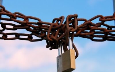 My Thoughts On Assigning Chastity Cages